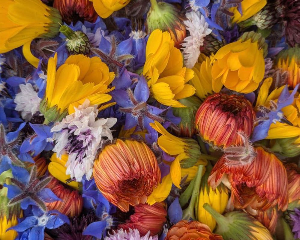 Edible flower Mix