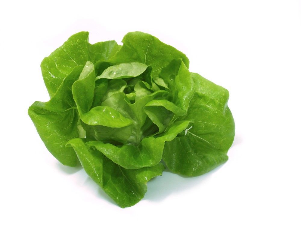 Lettuce: Butter