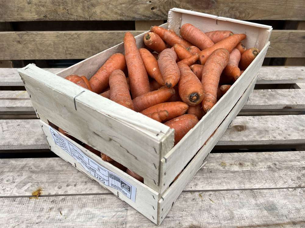 Organic Carrots