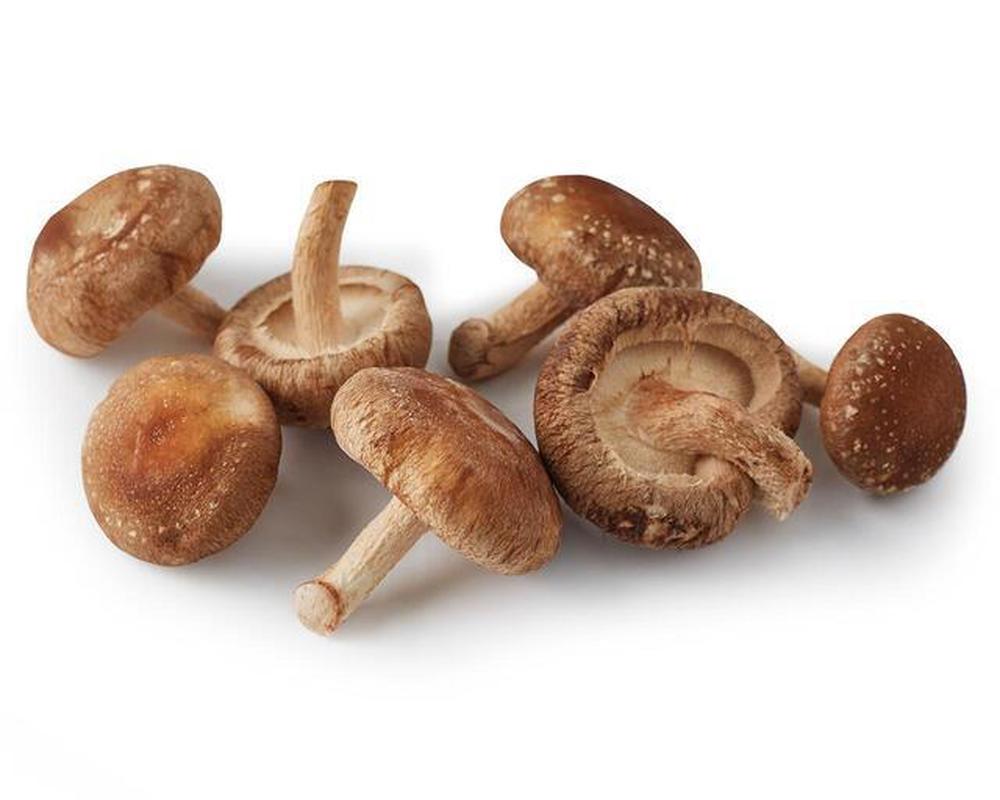 Mushroom (Shitake)- Organic