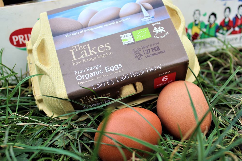 Organic Eggs x6