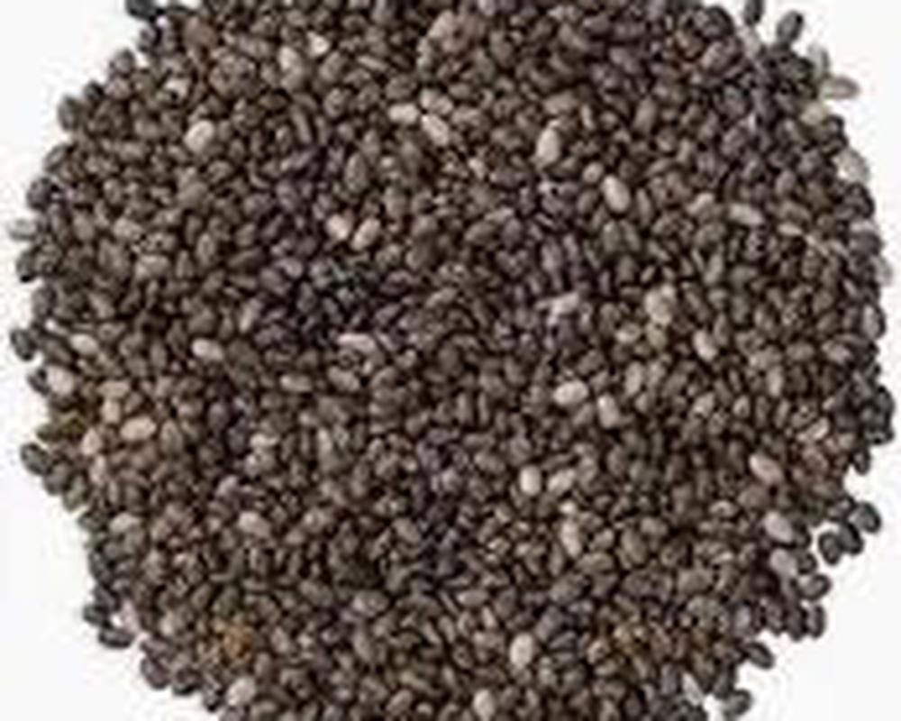 Dark Chia Seed