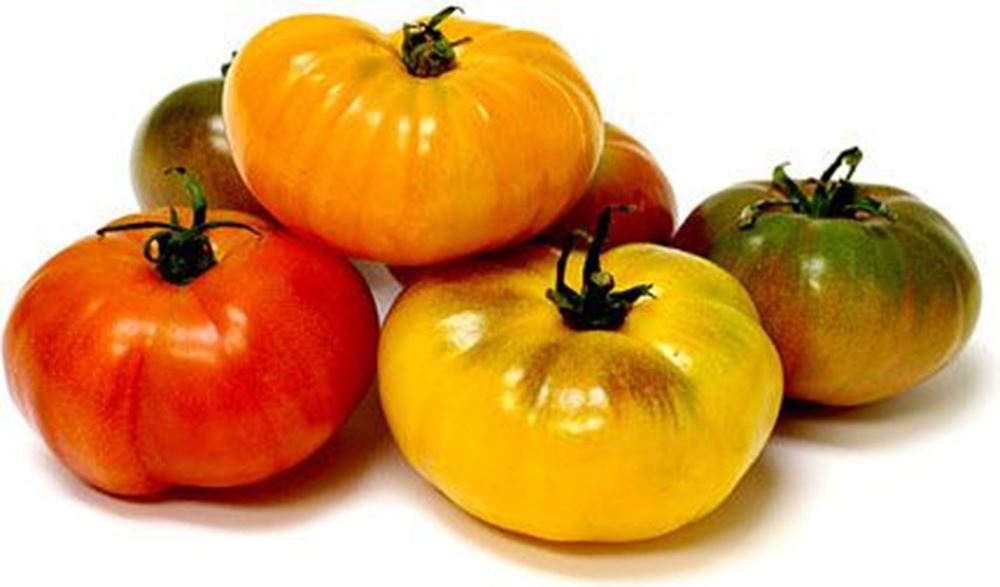 Tomato Heirloom