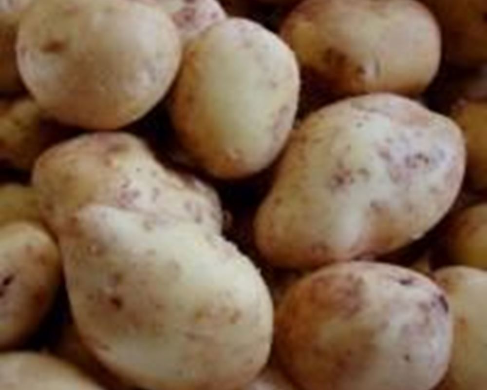 Potatoes - New - 500g