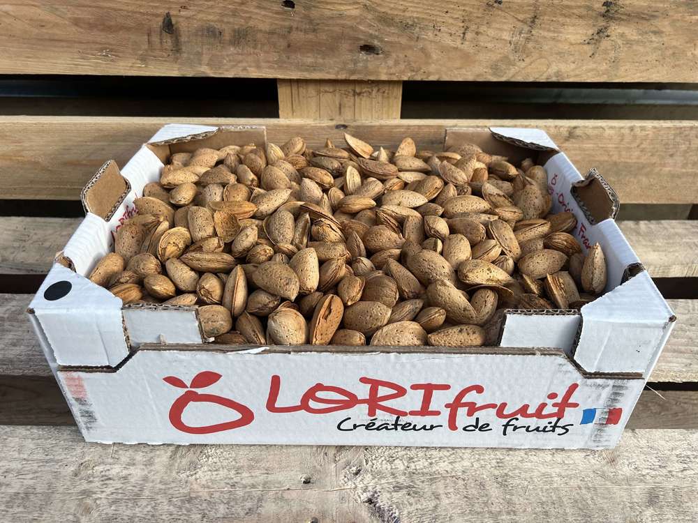Nut: Almond (in shells)
