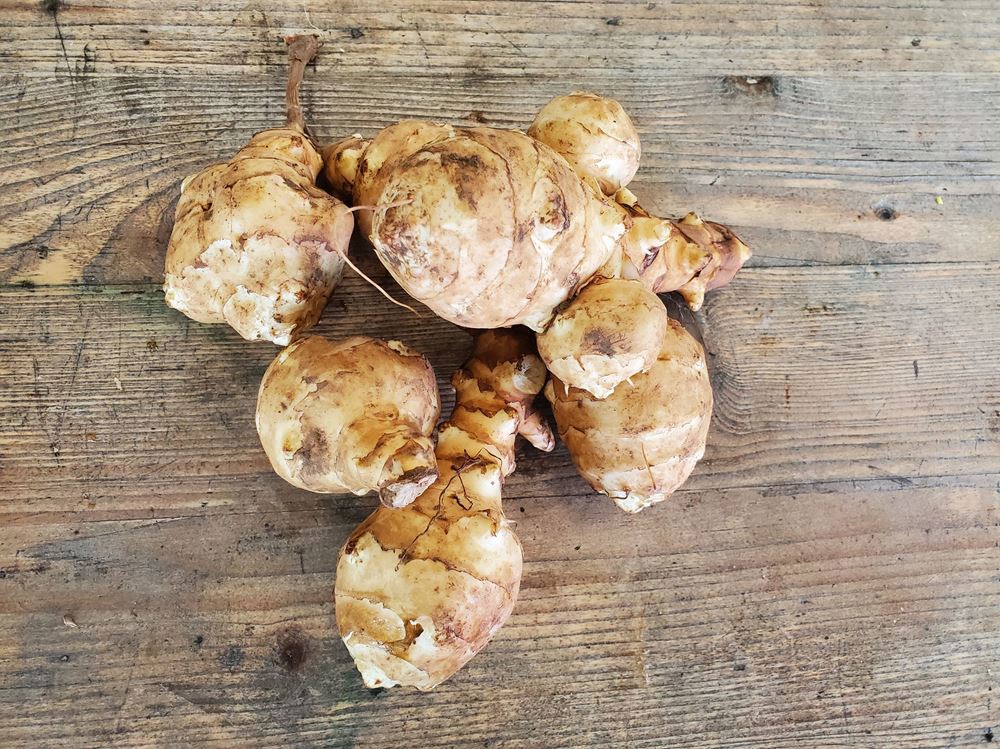 Jerusalem artichokes