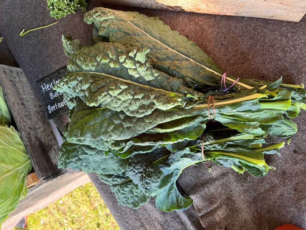 Cavalo Nero Kale