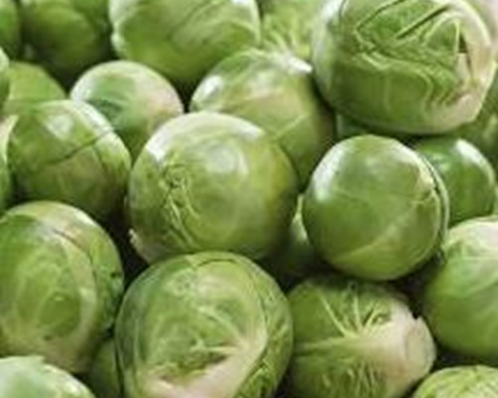 Brussel Sprouts (300g) 🇬🇧