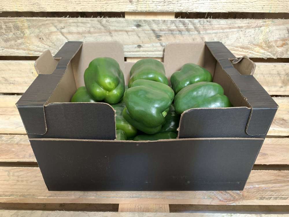 Organic Pepper Green