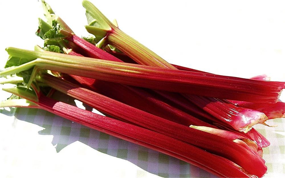 Rhubarb