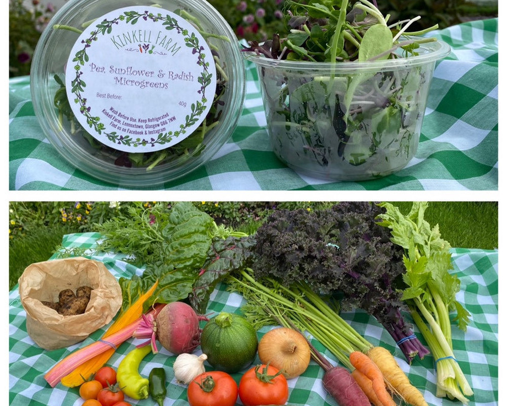 Create your own Microgreen & Veggie Box
