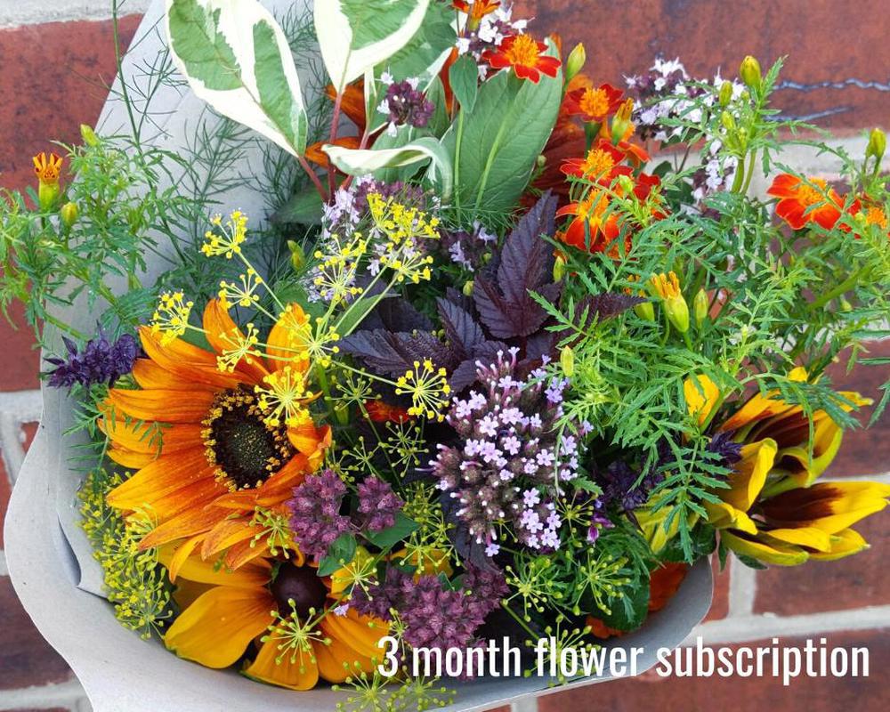 3 Month Flower Subscription (Apr-Sept 2025)