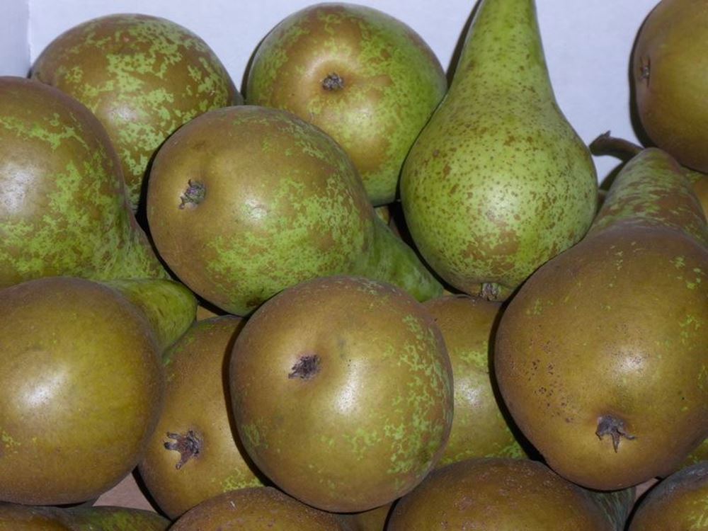 Pears - approx 600g