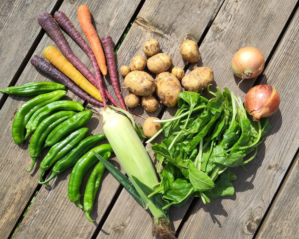 Veg Box - Small