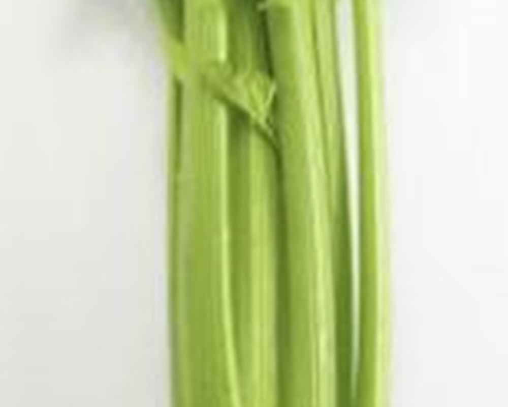 Celery 🇪🇸