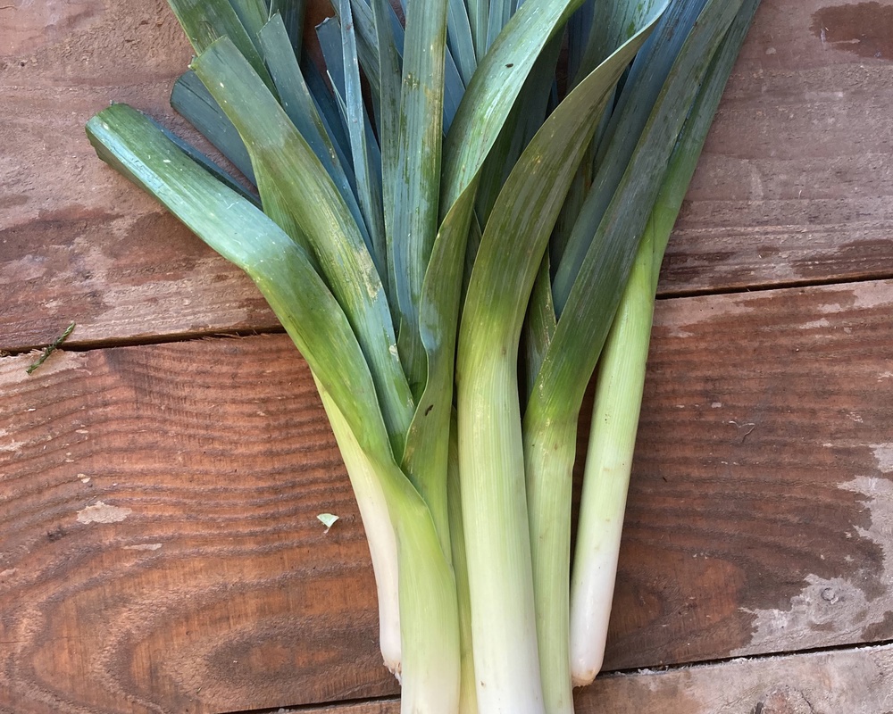 Leeks