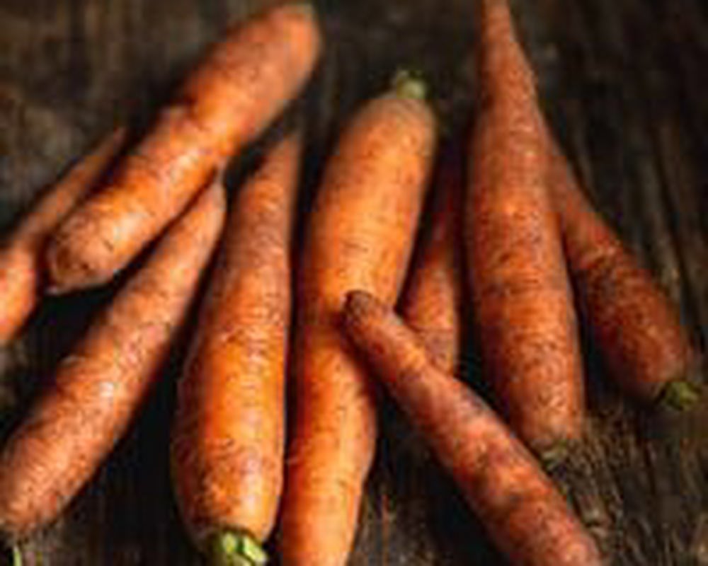 vCarrots 1kg