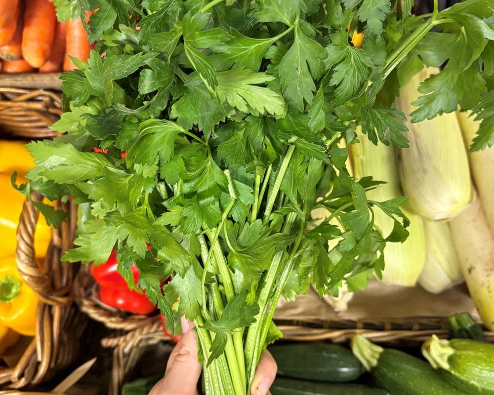 Parsley