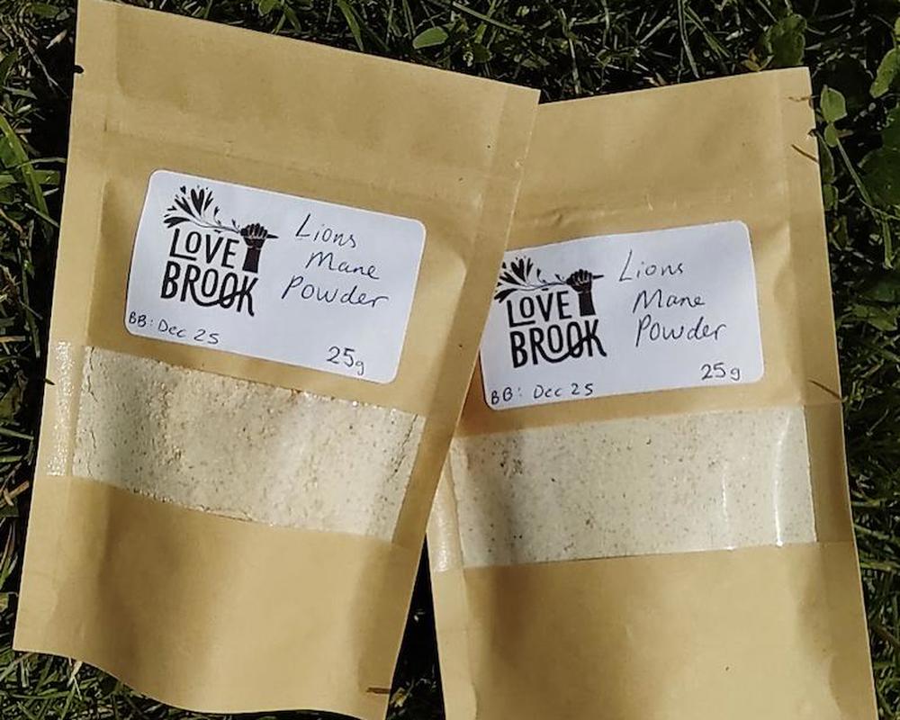Lionsmane Mushroom Powder