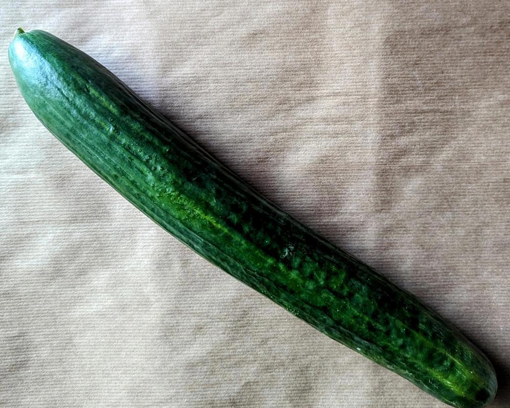 Cucumber