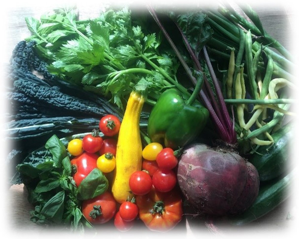 Standard Veg Bags