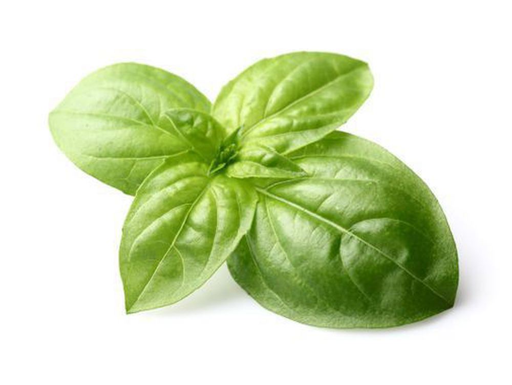 Thai Basil 50g