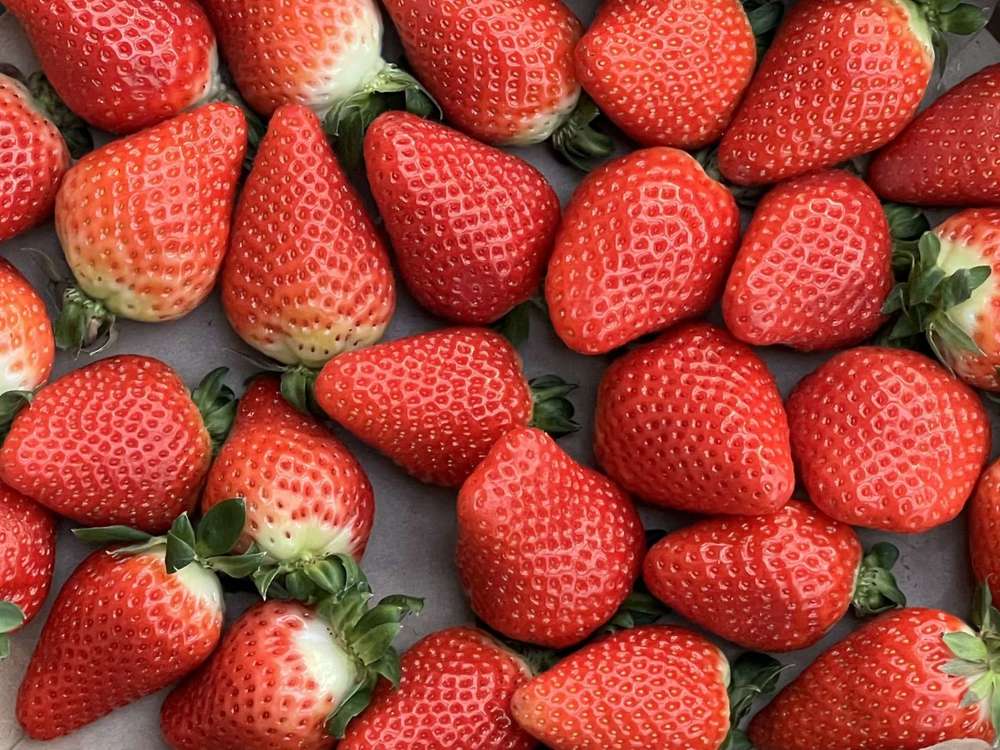 Organic Strawberries (250g)