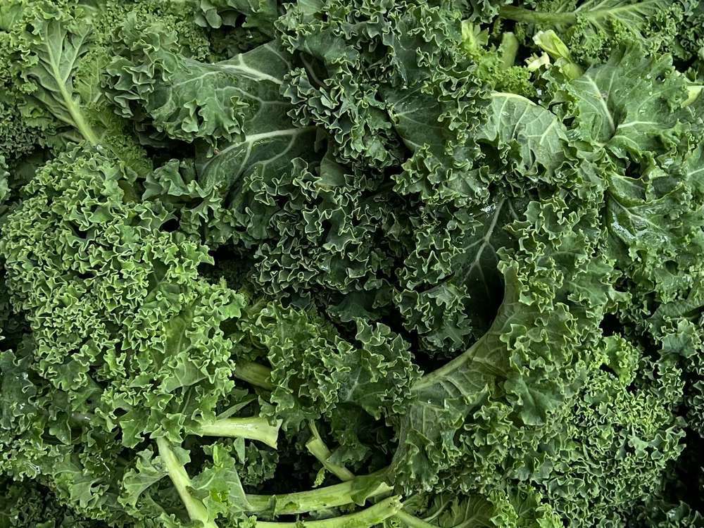 Organic Kale