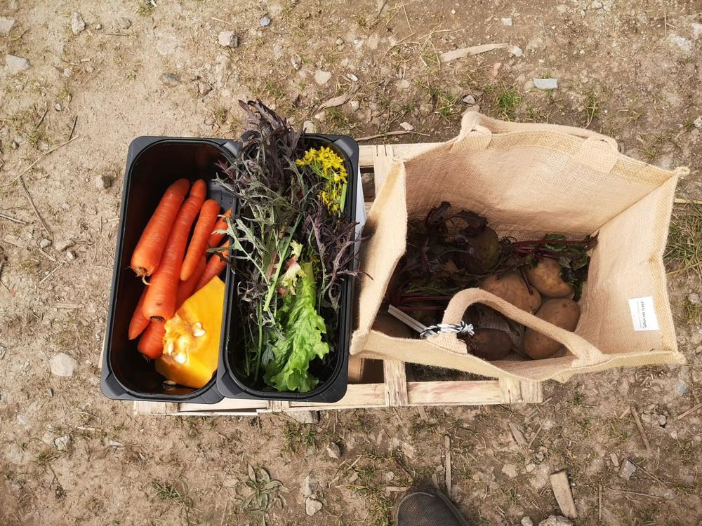 Medium Veg Bag
