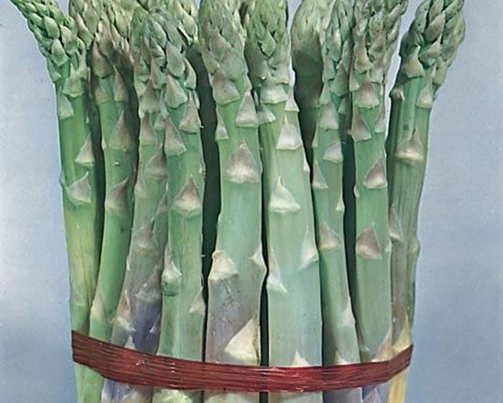 Asparagus - Organic (200g)
