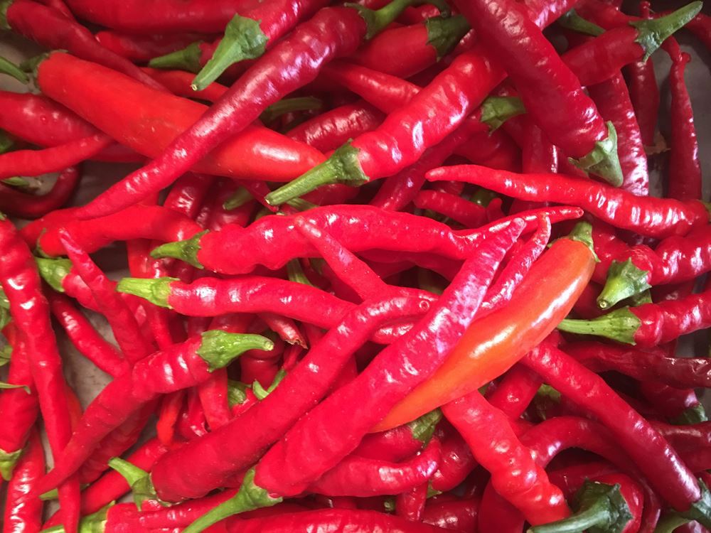 Chillies - Fresh