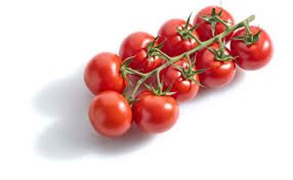 Organic UK Cherry Vine