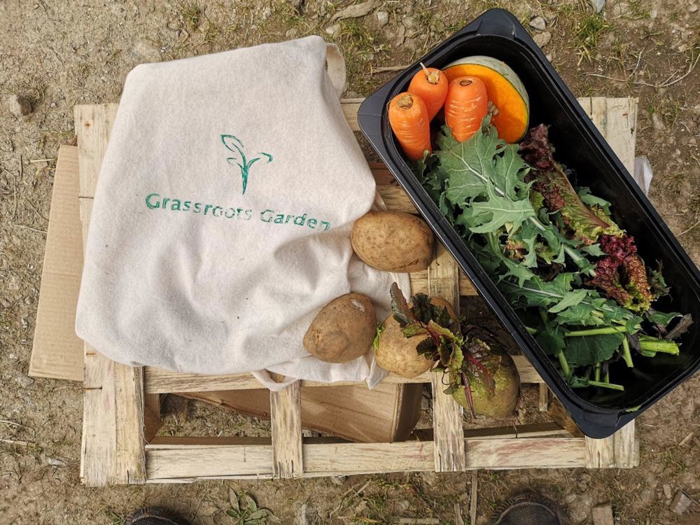 Small veg bag