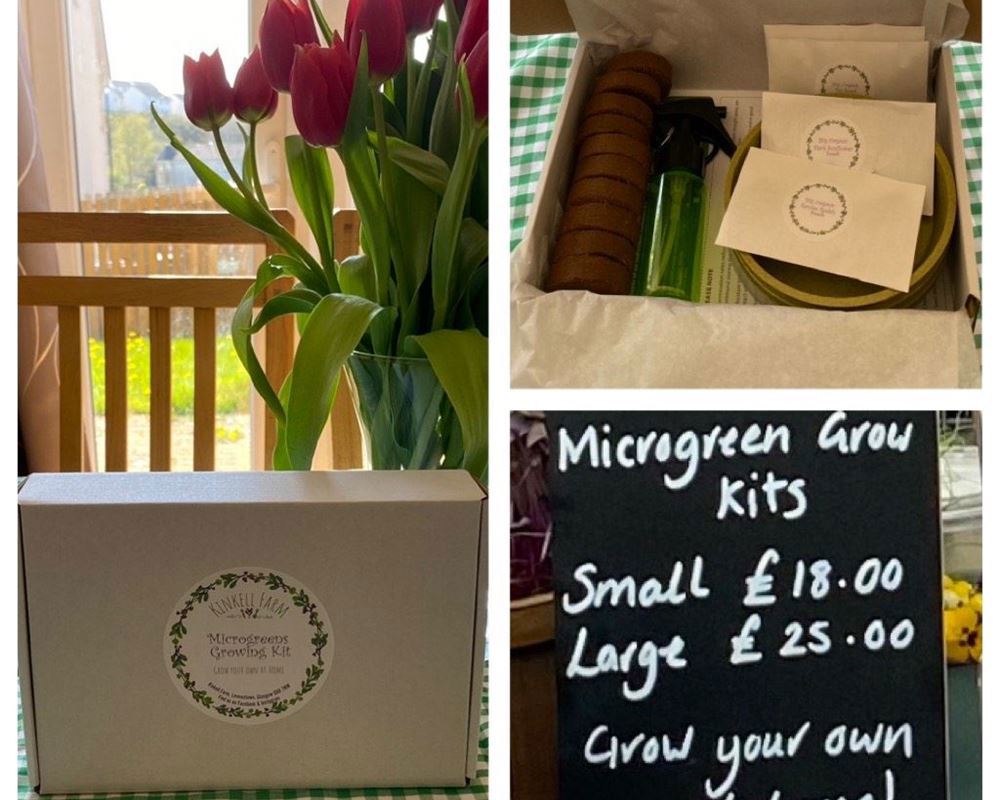 1 x Large Microgreen Growing Kit