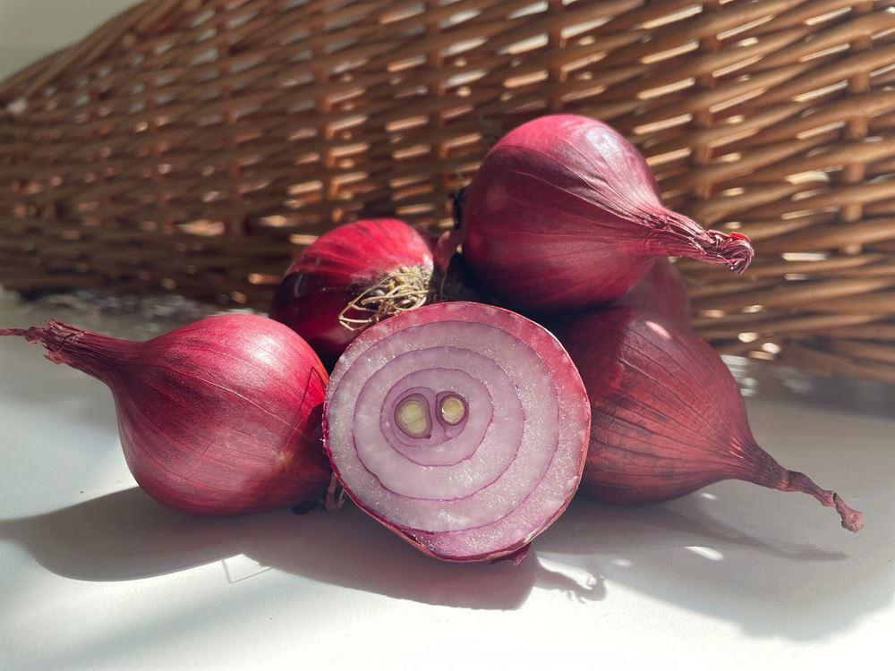 Onion, red