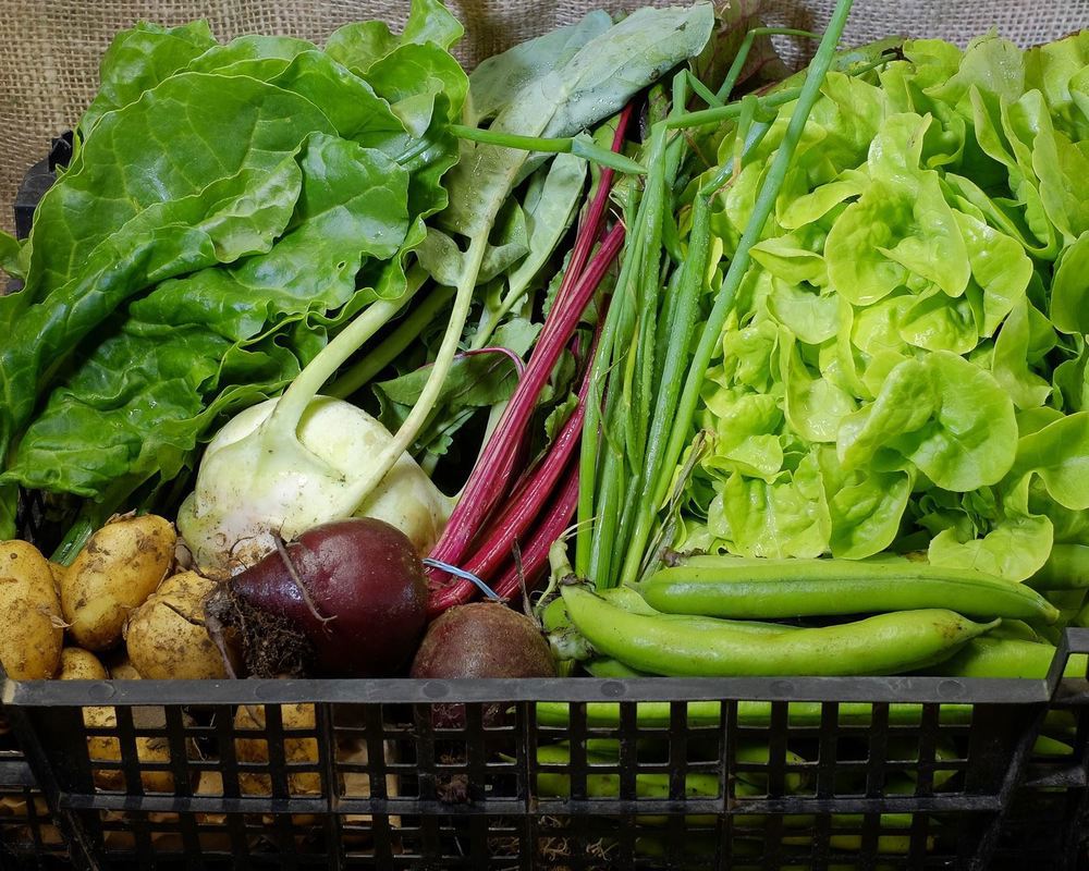 £13.25 Vegetable Box