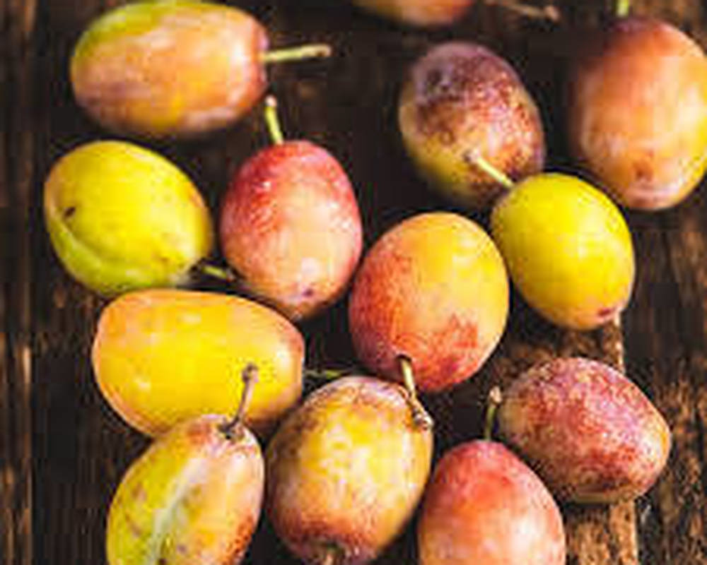 Plums - Organic ESP