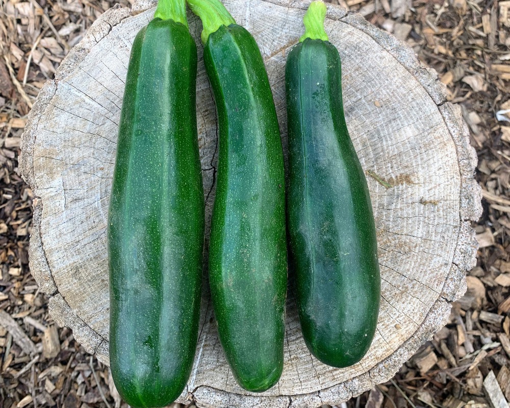 Courgettes