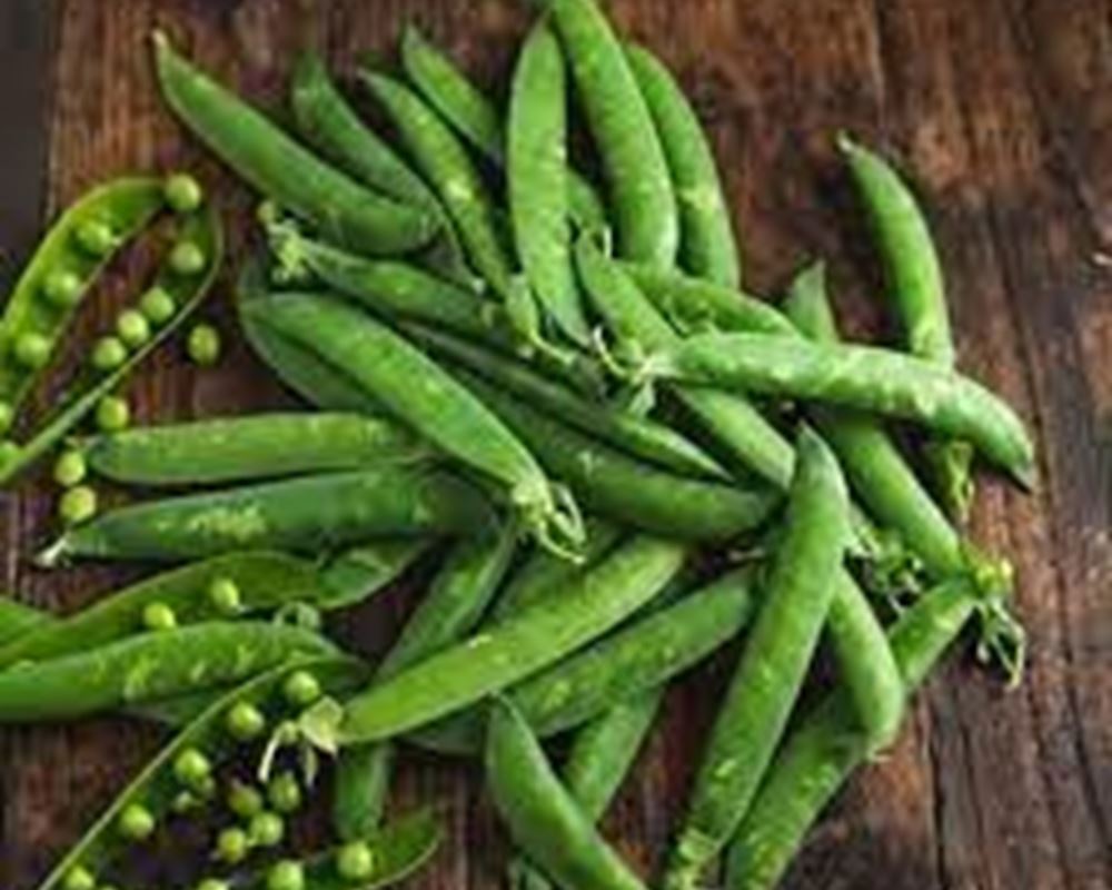 Garden Peas - Organic PT