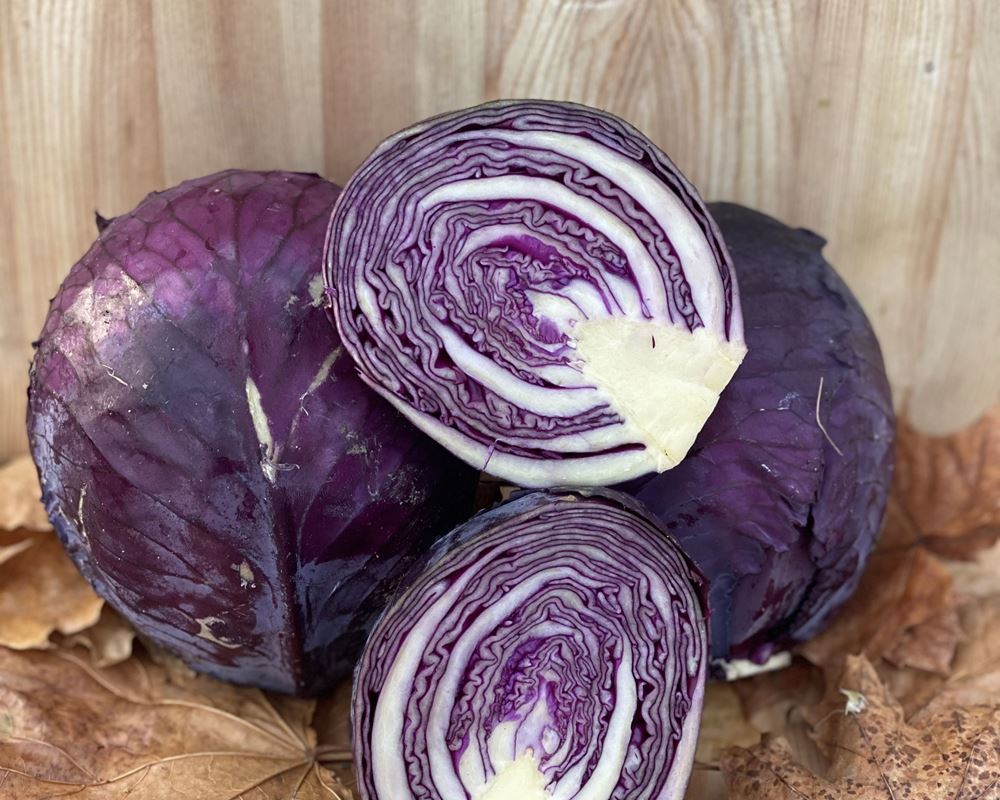 Cabbage, Red -  approx 1kg - Organic