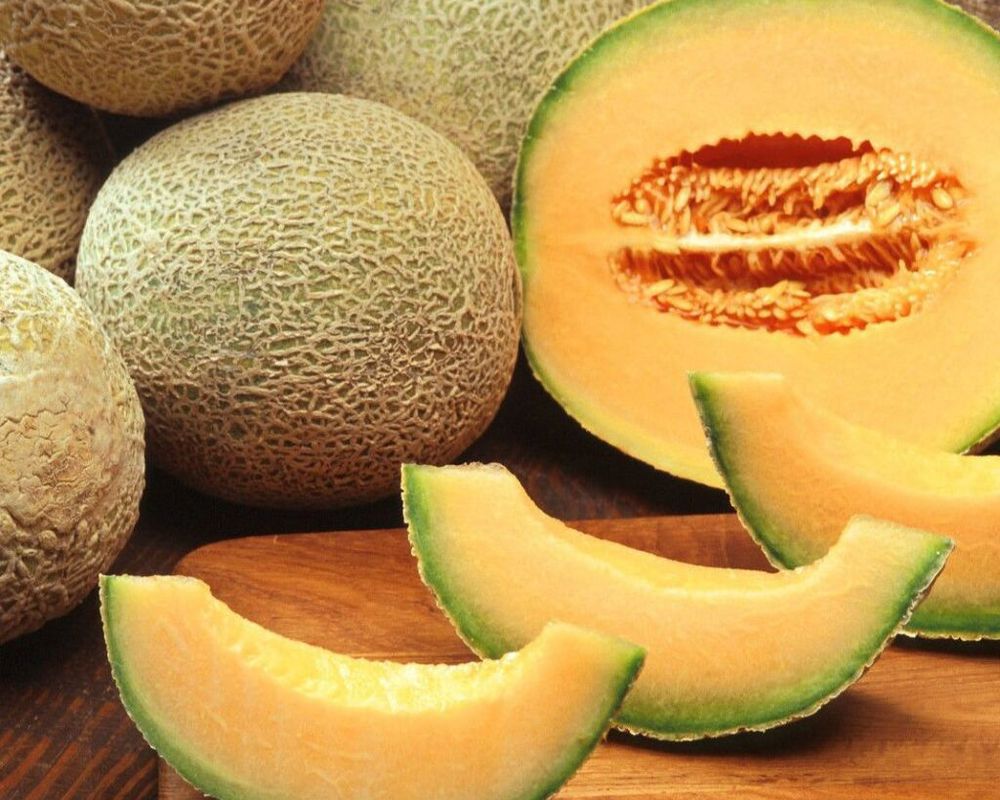 Cantaloupe Melon (Each) IT