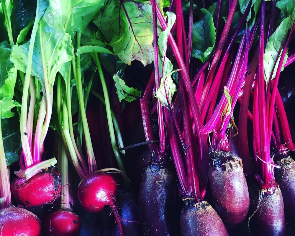 Beetroot