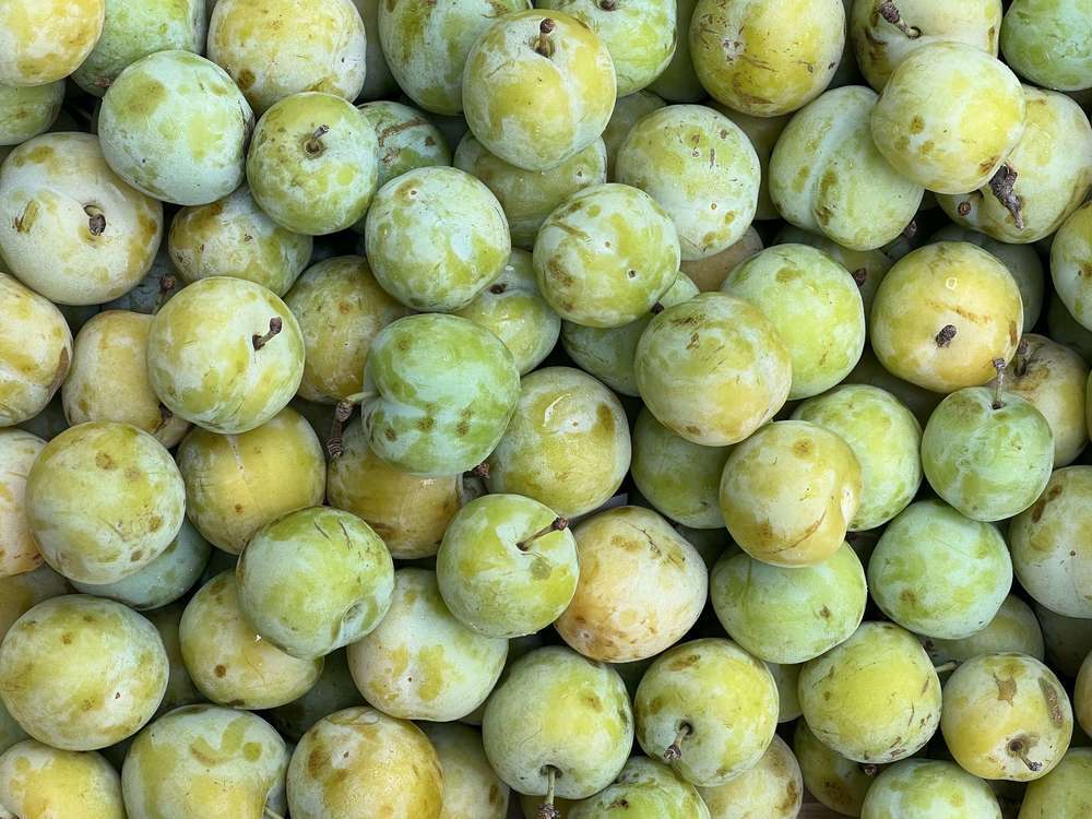 Organic Greengage (600g)