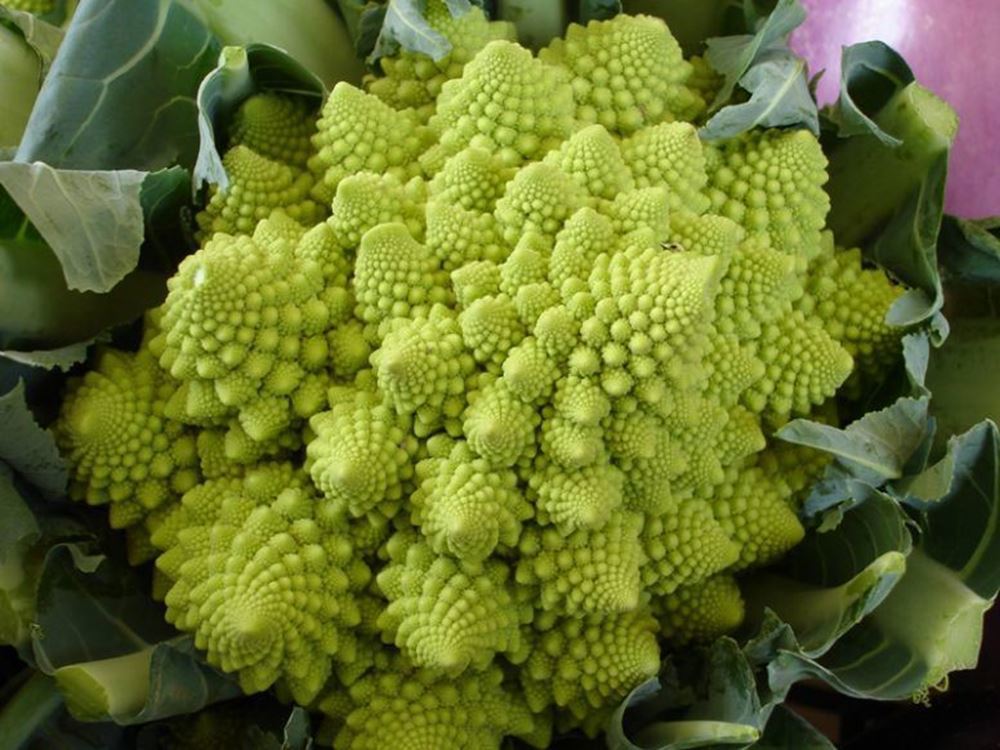 Cauliflower - Romanesco (UK)