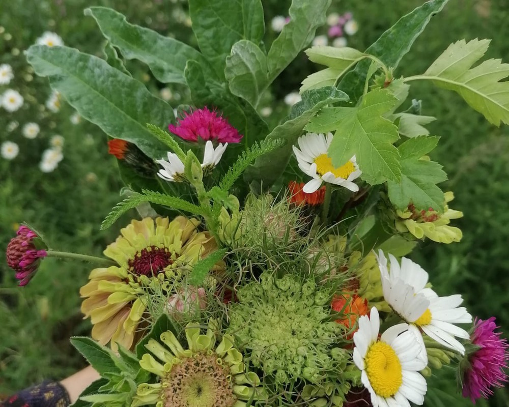 Organic Seasonal Mixed Bouquet