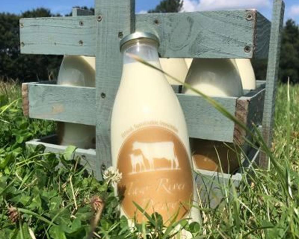 Milk - Taw River Dairy Non Organic