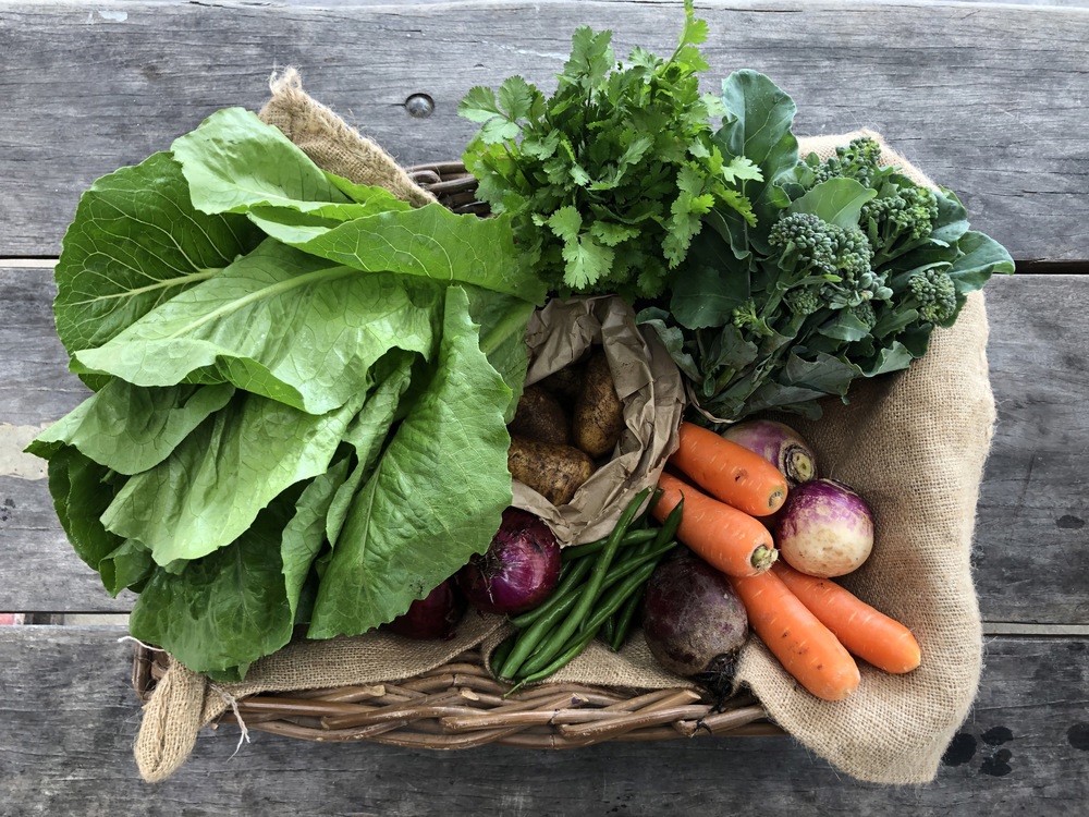 Small Vegetable Box