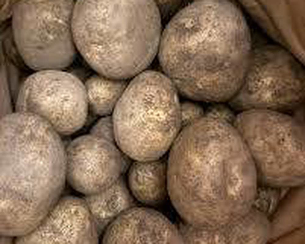 Potato: Valour, Bakers