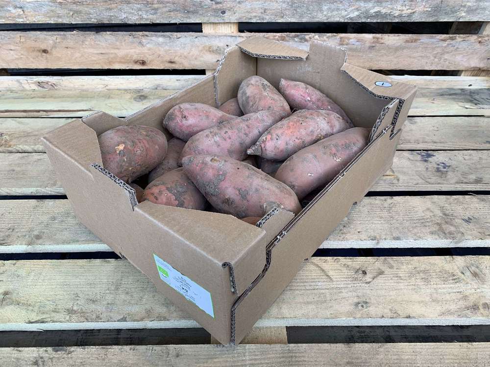 Organic Sweet Potato