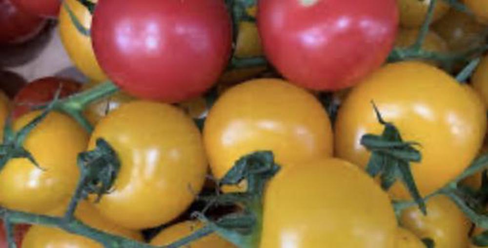 Tomato, Mixed Colour Cherry Vine (250g) 🇪🇸